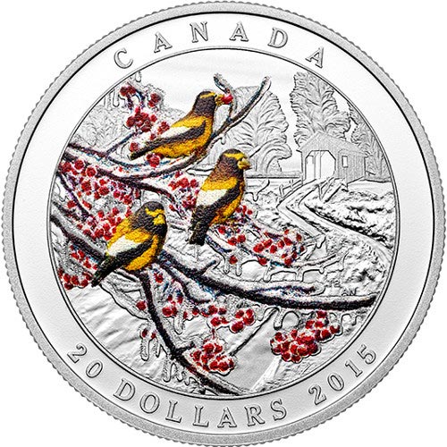 2015 1 oz Proof Canadian Silver Weather Phenomenon Winter Freeze Coin (Box)