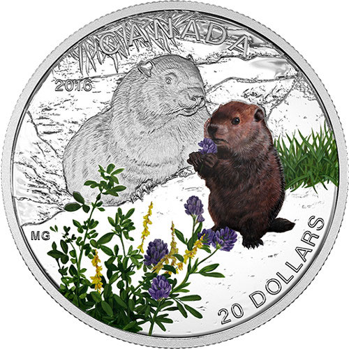 2016 1 oz Proof Canadian Silver Baby Animals: Woodchuck Coin (Box)