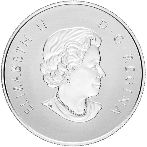 2017 1/2 oz Reverse Proof Canadian Silver Welcome to the World Coin (Box + CoA)