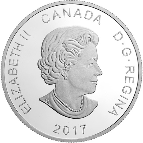 2017 1 oz Proof Canadian Silver Glistening North: The Arctic Tern Coin (Box + CoA)