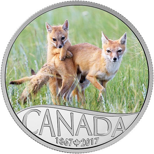 2017 1/2 oz Proof Canadian Silver Celebrating Canada's 150th Series Wild Swift Fox and Pups Coin (Box + CoA)