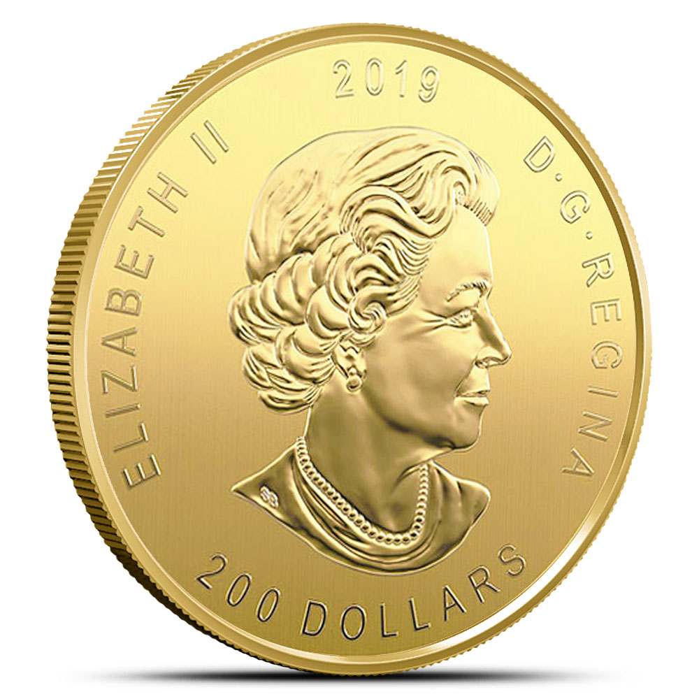 2019 1 oz Canadian Gold Moose Coin (BU w/ Assay)