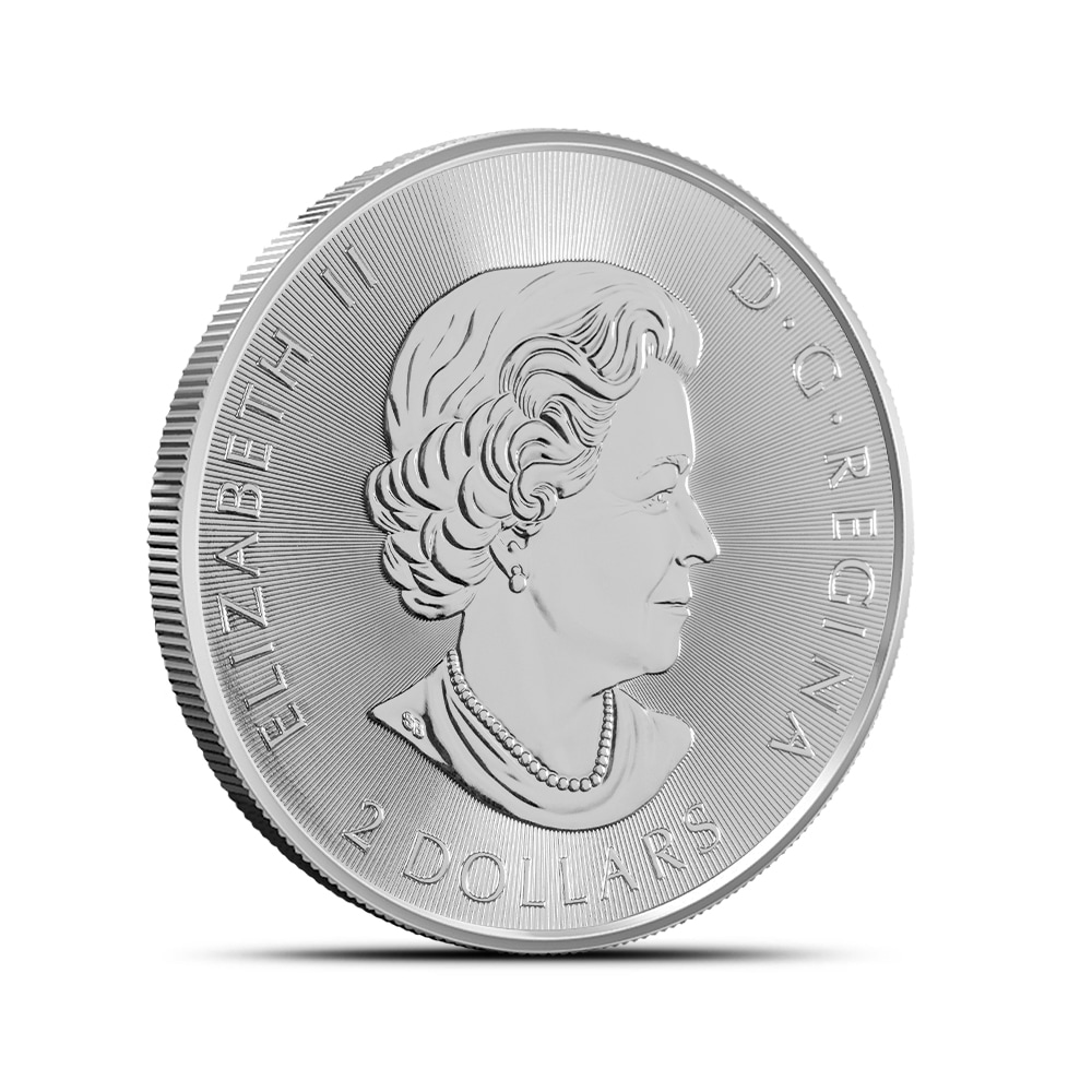 2018 1/2 oz Canadian Polar Bear Silver Coin