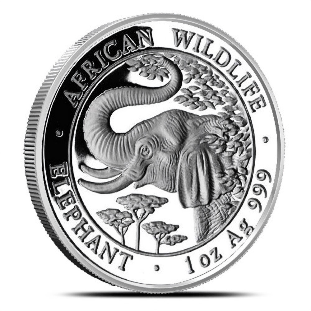 2005 1 oz Somalia Silver Elephant Coin (BU)