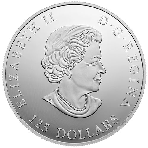 2016 500 Gram Proof $125 Canadian Silver Roaring Grizzly Coin (Box)