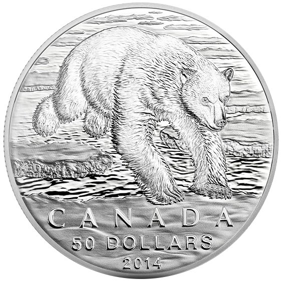 2014 1/2 oz Polar Bear $50 Canadian Silver Coin