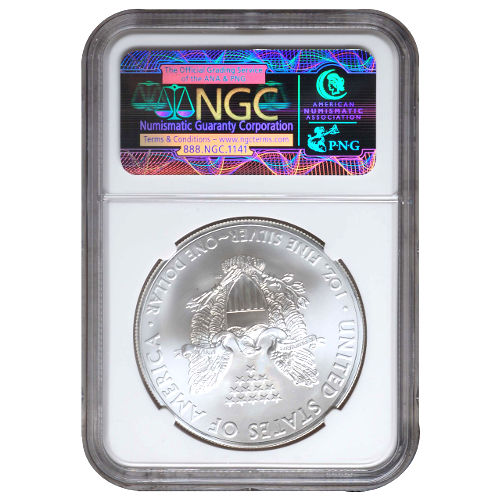 2013 (S) 1 oz American Silver Eagle Coin NGC MS70