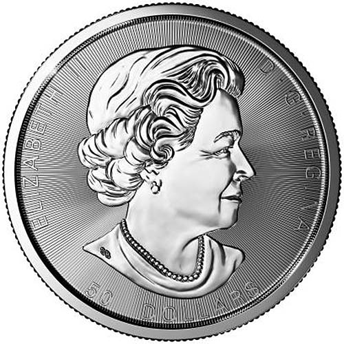 2018 10 oz Canadian Silver Magnificent Maple Leaf Coin (BU)